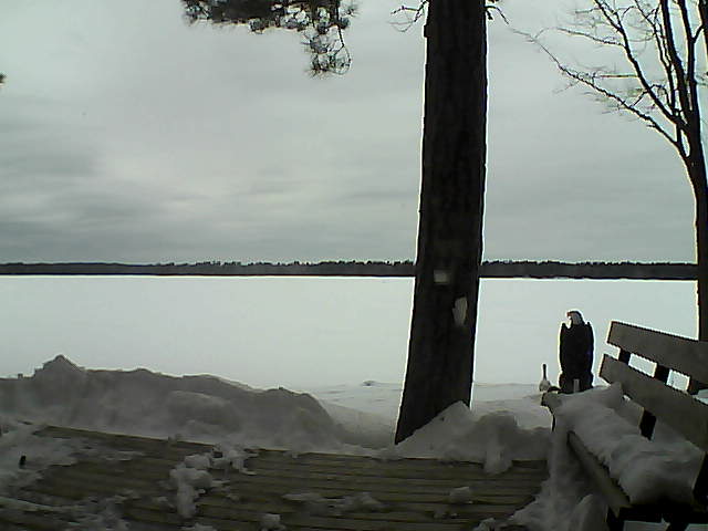 Whiteface Cam Image - Sun, 03/04/2018 12:46pm 