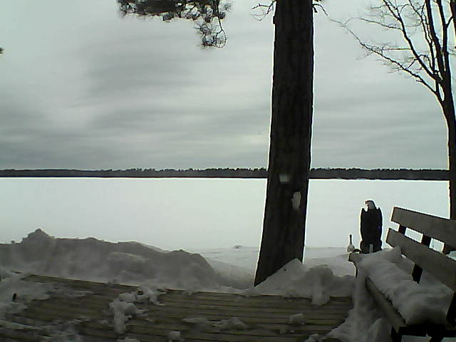 Whiteface Cam Image - Sun, 03/04/2018 12:56pm 