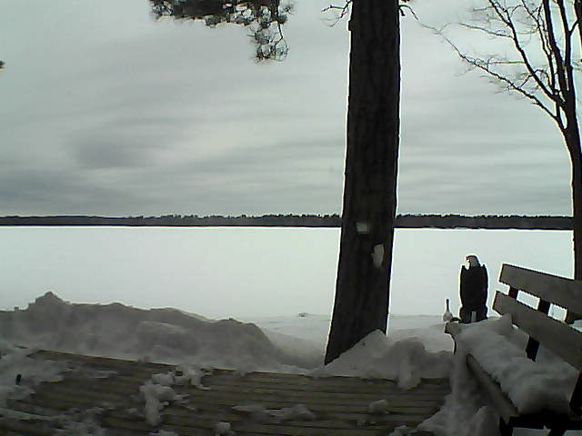 Whiteface Cam Image - Sun, 03/04/2018 1:06pm 