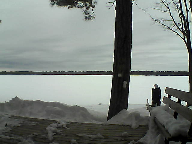 Whiteface Cam Image - Sun, 03/04/2018 1:16pm 