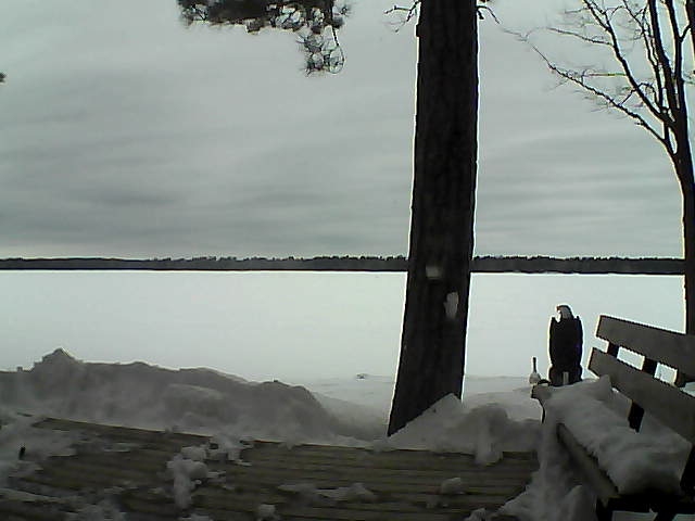 Whiteface Cam Image - Sun, 03/04/2018 1:26pm 