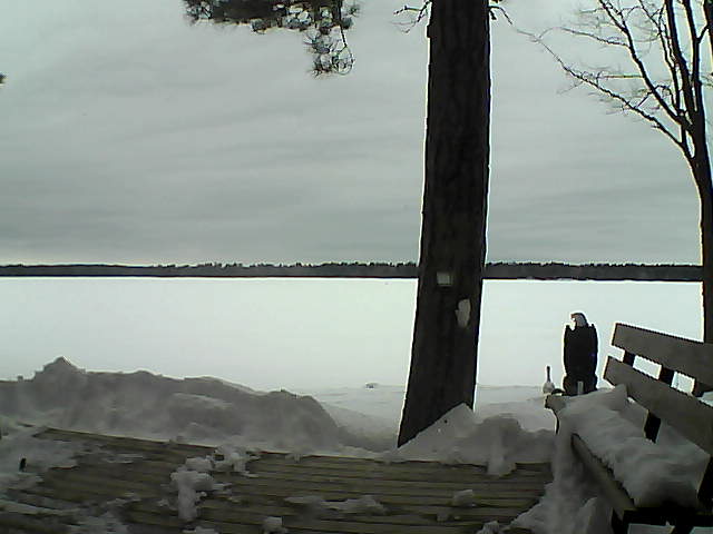 Whiteface Cam Image - Sun, 03/04/2018 1:36pm 