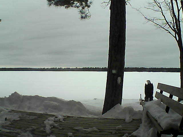 Whiteface Cam Image - Sun, 03/04/2018 1:46pm 