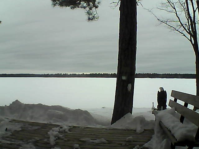 Whiteface Cam Image - Sun, 03/04/2018 1:56pm 