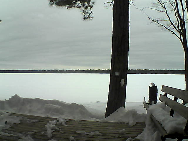 Whiteface Cam Image - Sun, 03/04/2018 2:06pm 