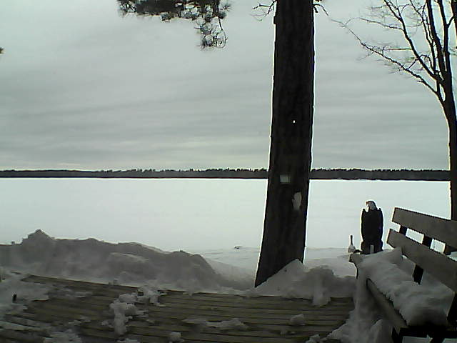 Whiteface Cam Image - Sun, 03/04/2018 2:16pm 