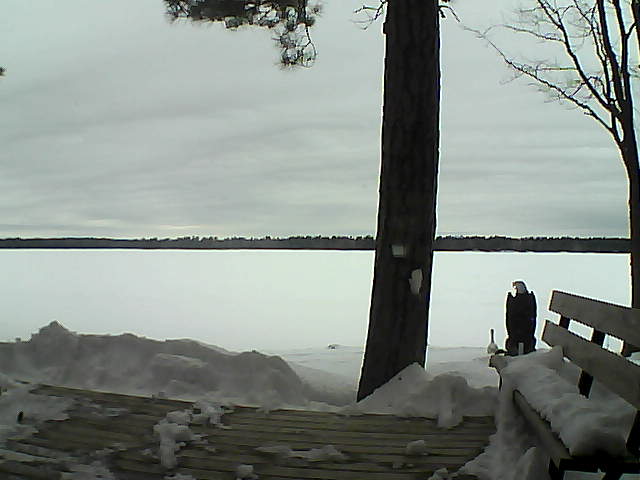 Whiteface Cam Image - Sun, 03/04/2018 2:26pm 