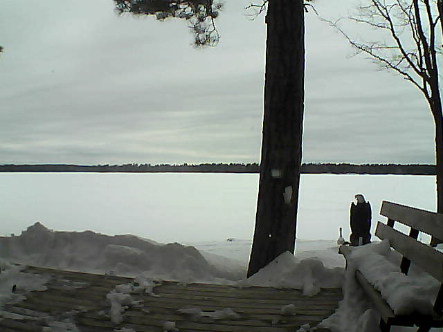 Whiteface Cam Image - Sun, 03/04/2018 2:36pm 