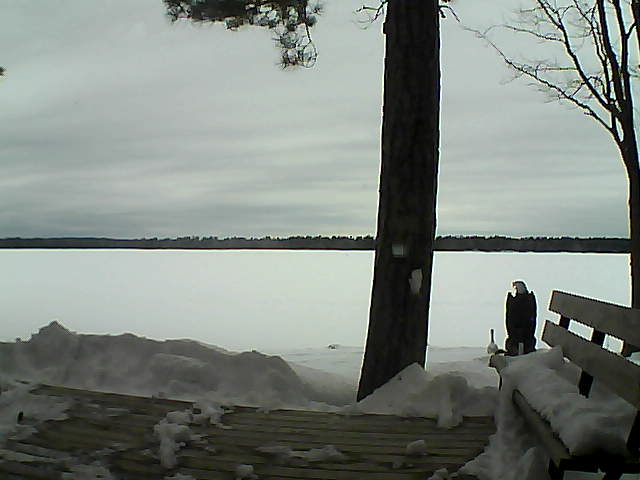 Whiteface Cam Image - Sun, 03/04/2018 2:46pm 