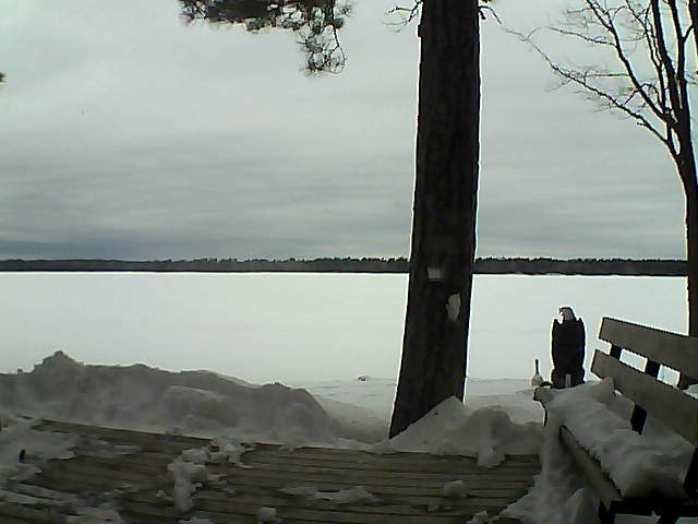 Whiteface Cam Image - Sun, 03/04/2018 2:56pm 