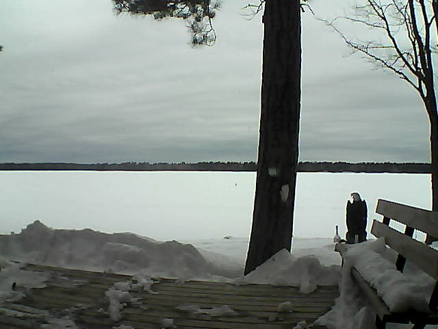 Whiteface Cam Image - Sun, 03/04/2018 3:16pm 