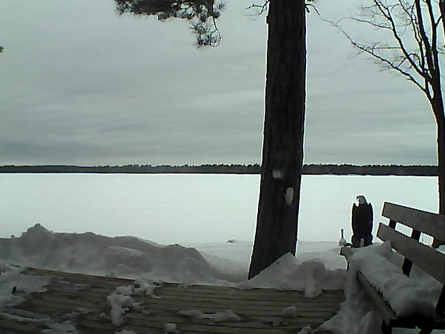 Whiteface Cam Image - Sun, 03/04/2018 3:36pm 