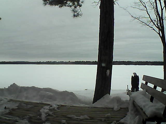 Whiteface Cam Image - Sun, 03/04/2018 3:46pm 