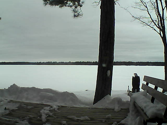 Whiteface Cam Image - Sun, 03/04/2018 4:26pm 