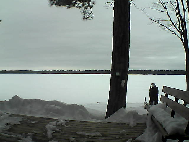 Whiteface Cam Image - Sun, 03/04/2018 4:36pm 