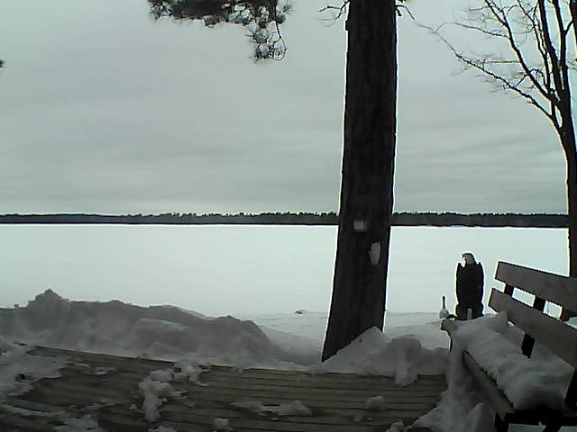 Whiteface Cam Image - Sun, 03/04/2018 4:46pm 