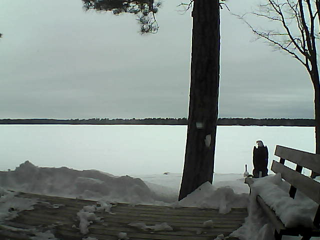 Whiteface Cam Image - Sun, 03/04/2018 4:56pm 