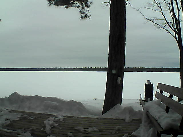 Whiteface Cam Image - Sun, 03/04/2018 5:06pm 