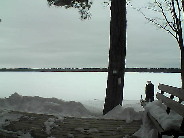 Whiteface Cam Image - Sun, 03/04/2018 5:16pm 