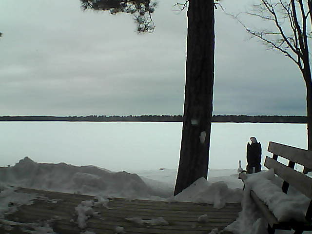 Whiteface Cam Image - Sun, 03/04/2018 5:36pm 