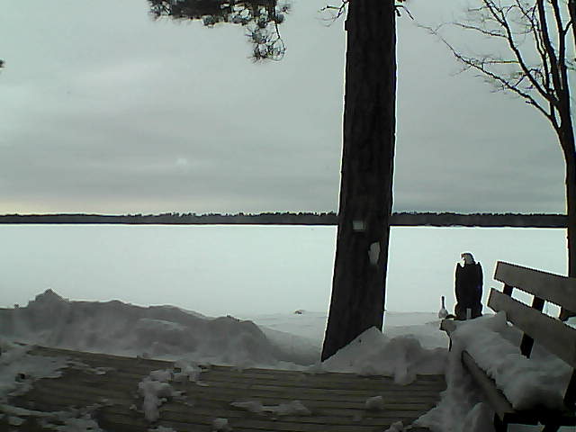 Whiteface Cam Image - Sun, 03/04/2018 5:56pm 