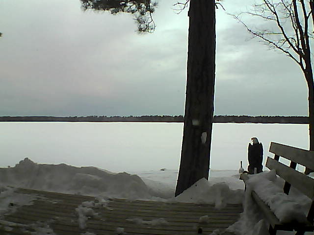 Whiteface Cam Image - Mon, 03/05/2018 6:46am 