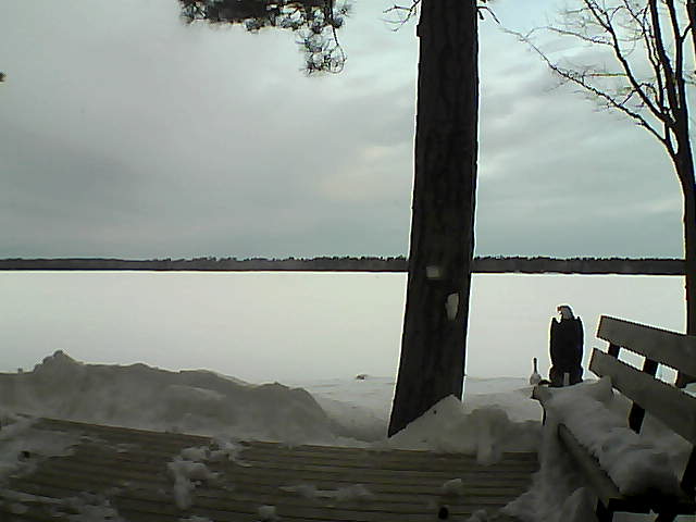 Whiteface Cam Image - Mon, 03/05/2018 7:06am 