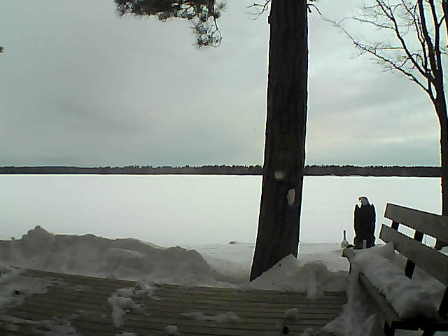 Whiteface Cam Image - Mon, 03/05/2018 7:16am 