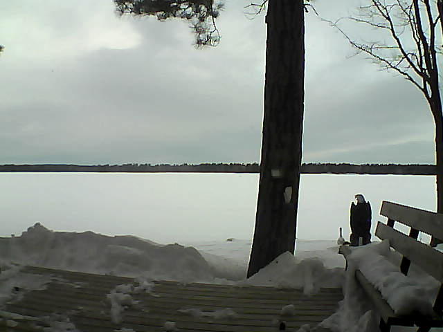 Whiteface Cam Image - Mon, 03/05/2018 7:36am 