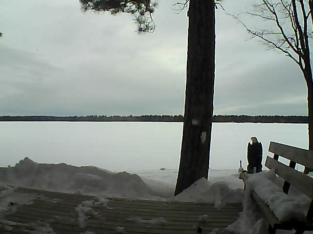 Whiteface Cam Image - Mon, 03/05/2018 7:46am 