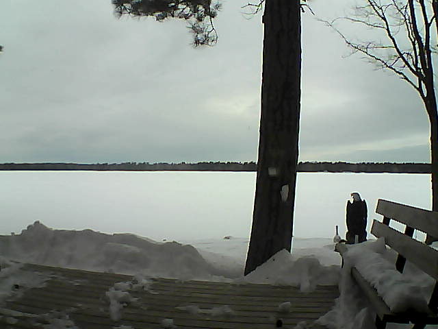 Whiteface Cam Image - Mon, 03/05/2018 7:56am 