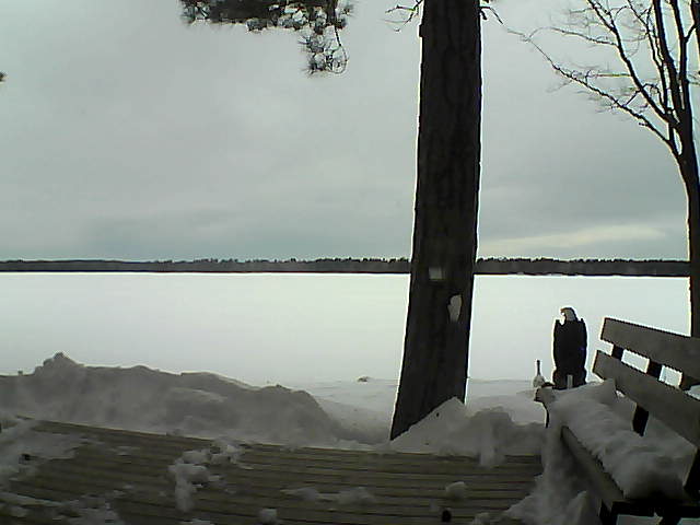 Whiteface Cam Image - Mon, 03/05/2018 8:06am 