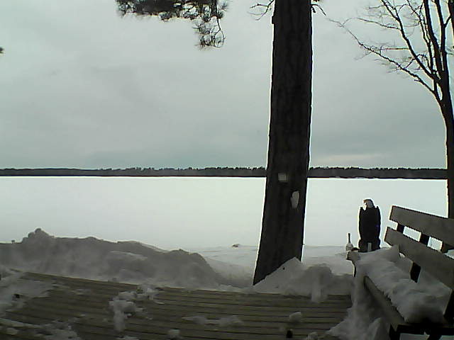 Whiteface Cam Image - Mon, 03/05/2018 8:26am 