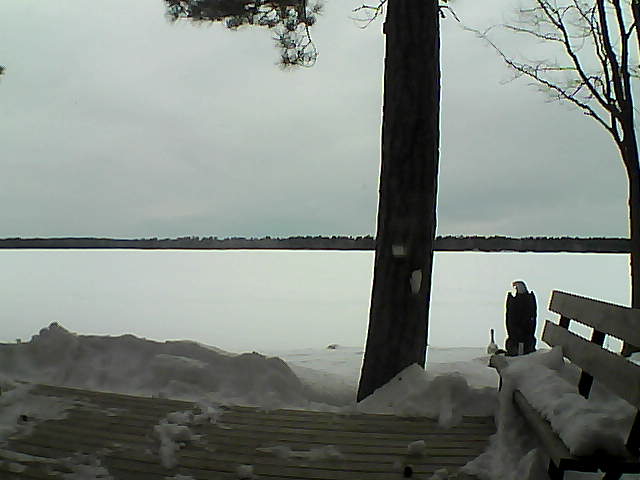 Whiteface Cam Image - Mon, 03/05/2018 8:36am 