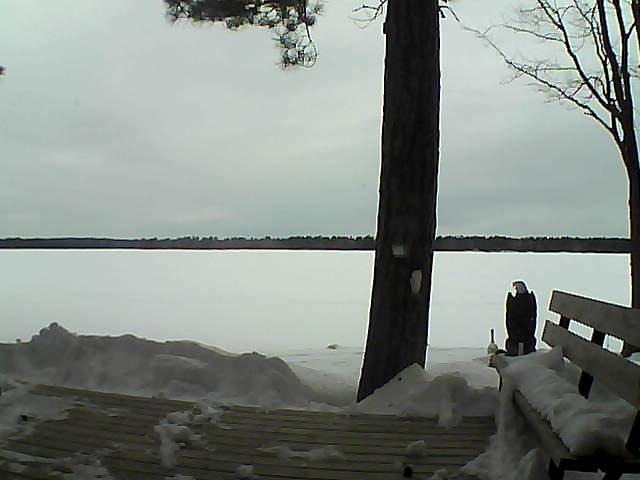 Whiteface Cam Image - Mon, 03/05/2018 8:46am 