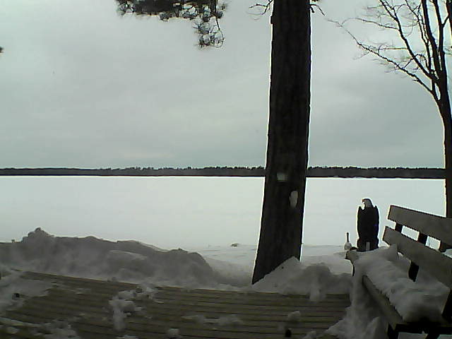 Whiteface Cam Image - Mon, 03/05/2018 8:56am 