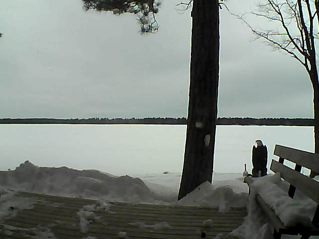 Whiteface Cam Image - Mon, 03/05/2018 9:06am 