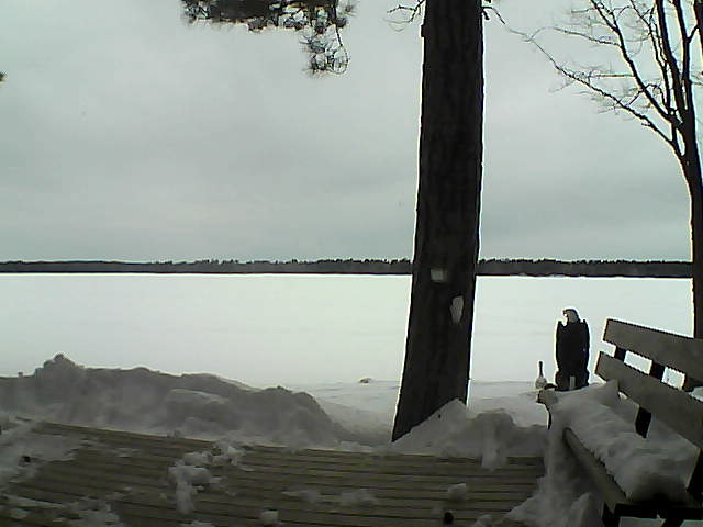 Whiteface Cam Image - Mon, 03/05/2018 9:16am 