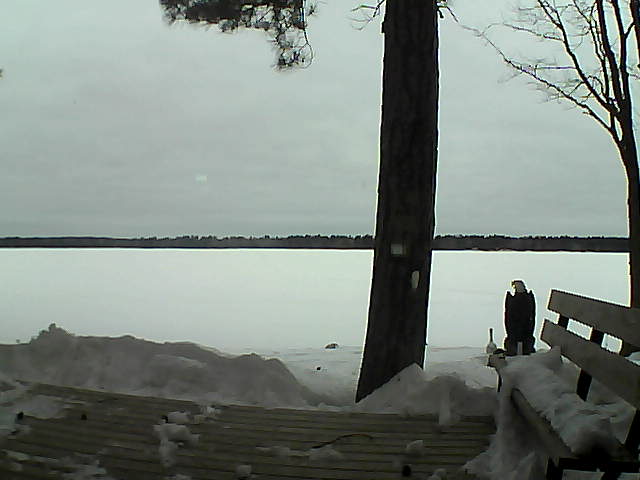 Whiteface Cam Image - Wed, 03/07/2018 6:28am 