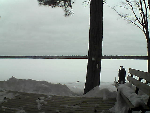 Whiteface Cam Image - Wed, 03/07/2018 6:38am 