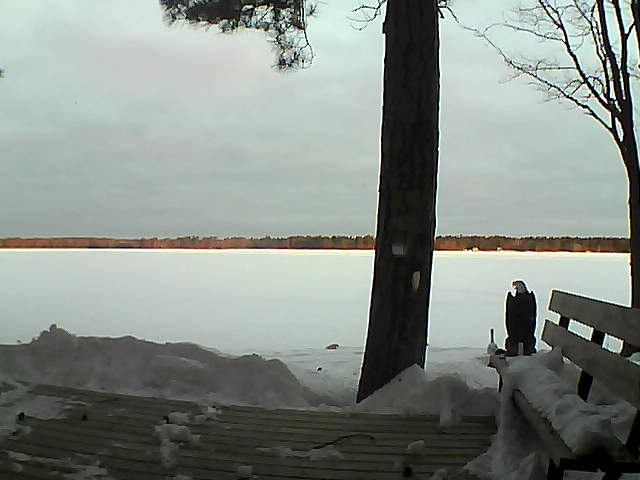 Whiteface Cam Image - Wed, 03/07/2018 6:48am 