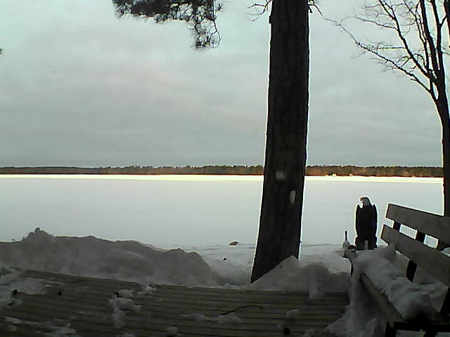 Whiteface Cam Image - Wed, 03/07/2018 6:58am 