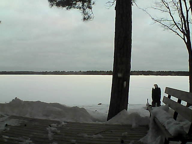 Whiteface Cam Image - Wed, 03/07/2018 7:08am 