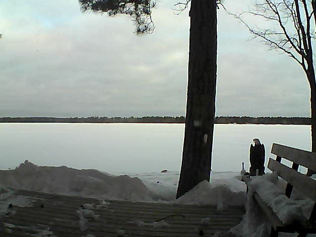 Whiteface Cam Image - Wed, 03/07/2018 7:18am 