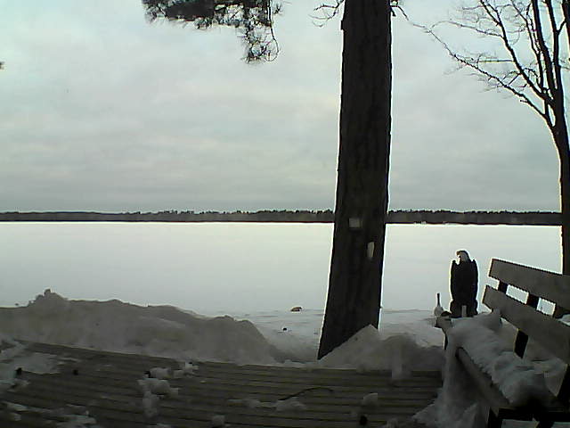 Whiteface Cam Image - Wed, 03/07/2018 7:28am 