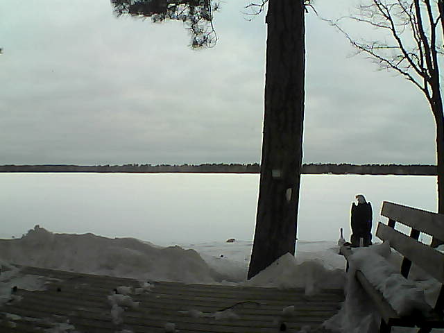 Whiteface Cam Image - Wed, 03/07/2018 7:38am 