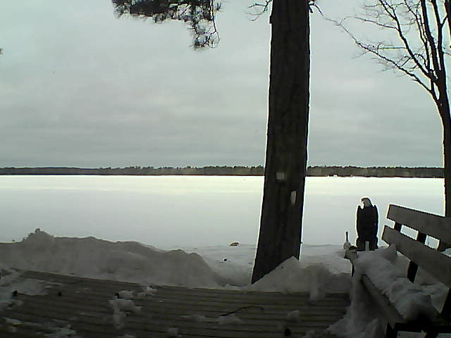 Whiteface Cam Image - Wed, 03/07/2018 8:08am 