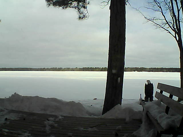 Whiteface Cam Image - Wed, 03/07/2018 8:18am 