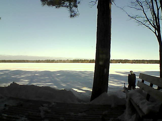 Whiteface Cam Image - Wed, 03/07/2018 8:48am 