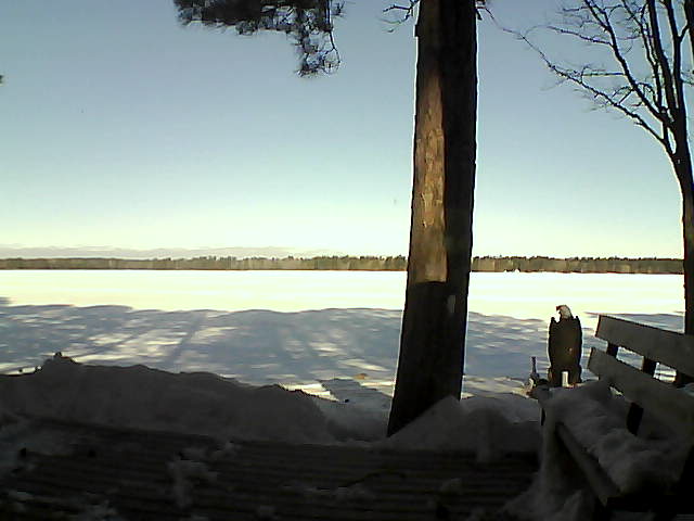 Whiteface Cam Image - Wed, 03/07/2018 9:08am 